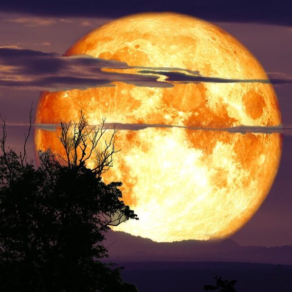 Der Vollmond wird auf der anderen Seite der Welt von der Sonne voll angestrahlt. In der Astrologie nennt man den Aspekt Opposition